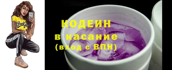 прущие грибы Баксан