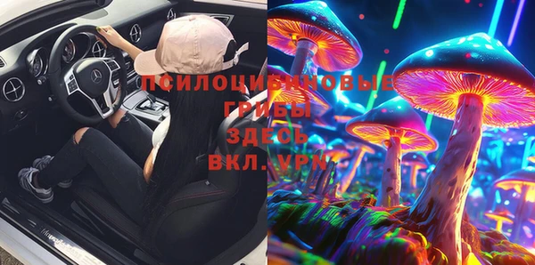 прущие грибы Баксан